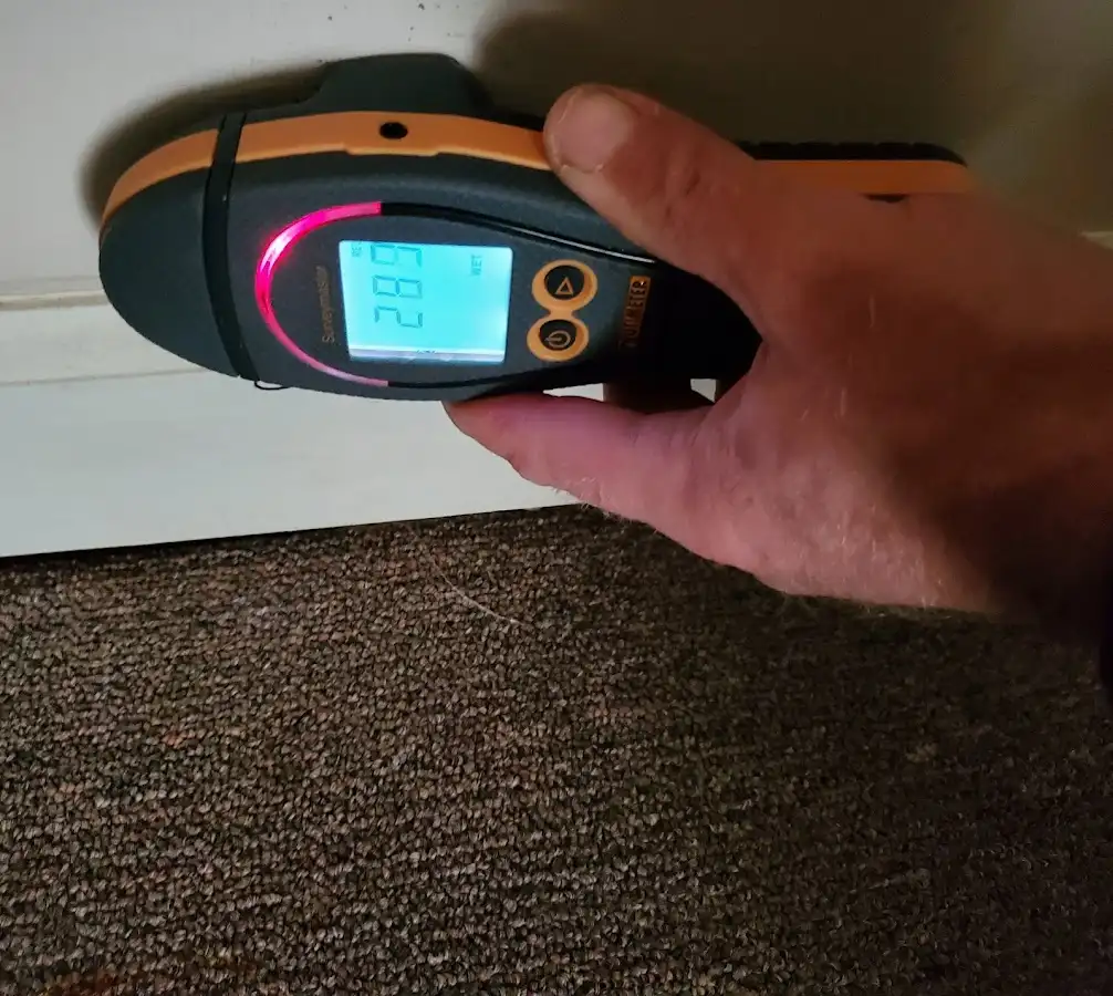 Moisture detection at baseboard during Mold Inspection & Testing in South Londonderry
